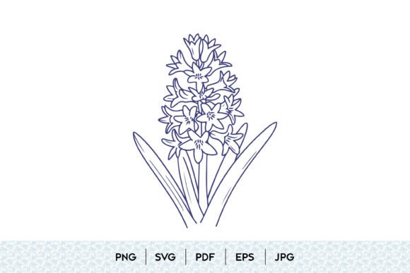 A Hyacinth Illustration for Professional Graphics and Illustrations