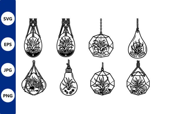 Hanging Terrarium Line Art Collection: Graphics & Illustrations