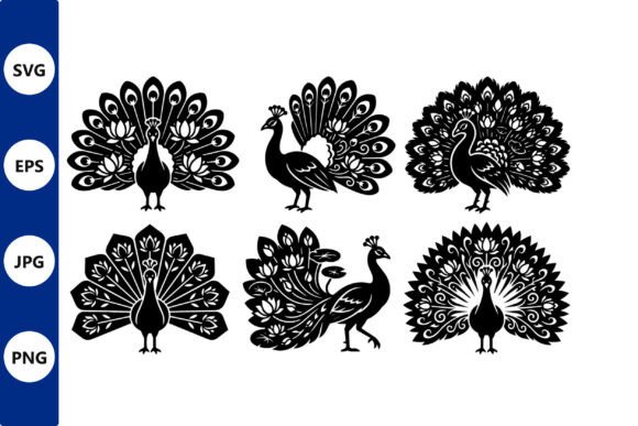 Peacock Silhouette Vector Art Collection: Graphics & Illustrations